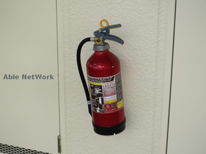  ハイムカメリア