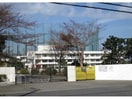 袖ケ浦市立奈良輪小学校(小学校)まで1897m ヴァイオレットハーモニー