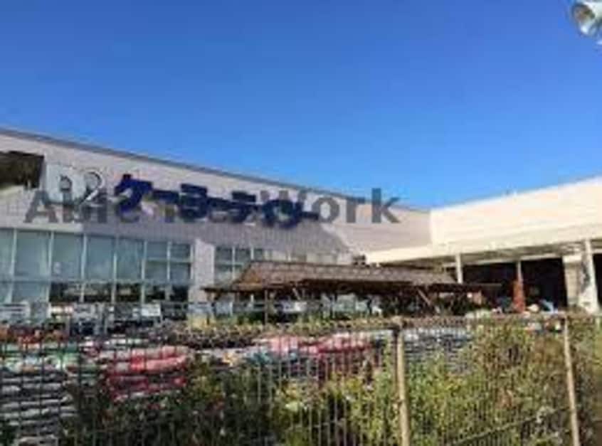 DCM辰巳台店(電気量販店/ホームセンター)まで362m レジデンスB