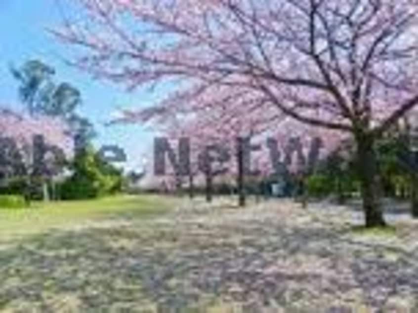 市原緑地運動公園(公園)まで925m アフィシオン