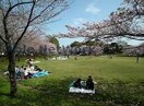 権現森公園(公園)まで648m ノイブリーゼＢ