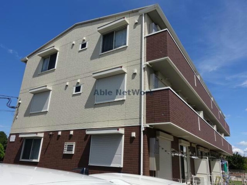  コットンパレス