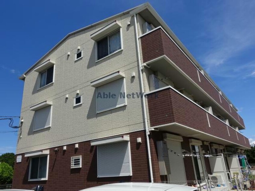  コットンパレス