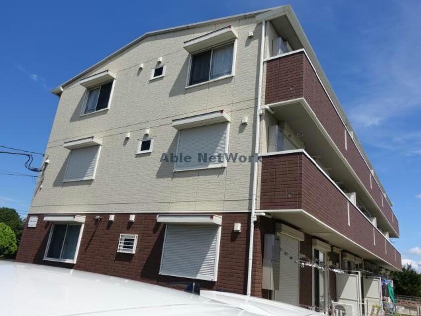  コットンパレス