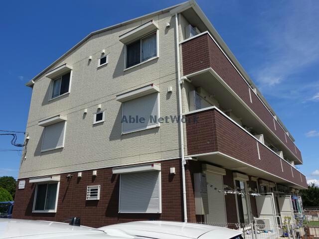  コットンパレス