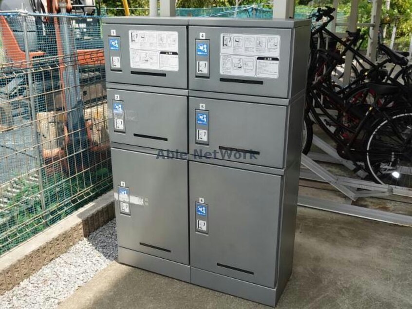  コットンパレス