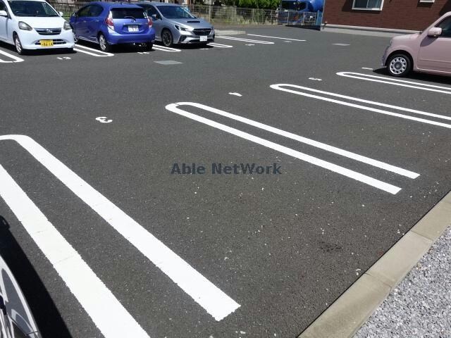  コットンパレス