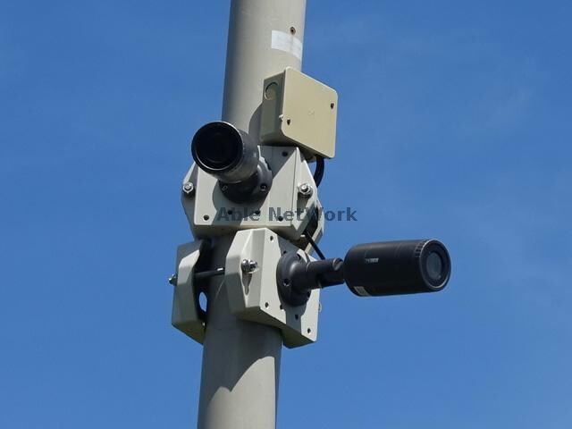  コットンパレス