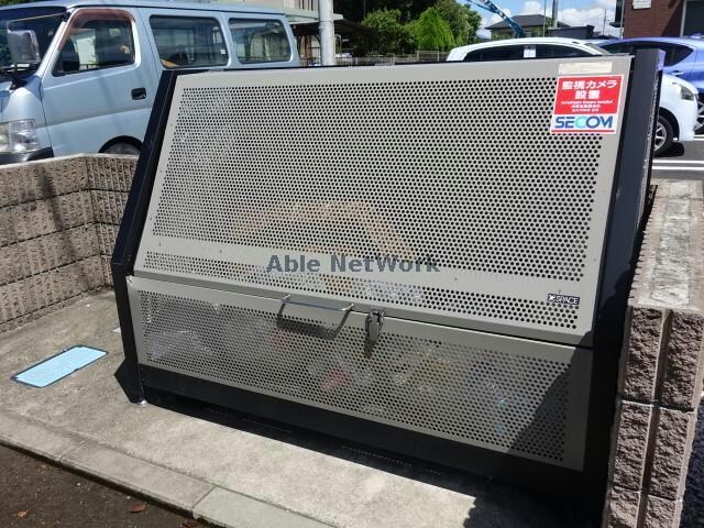  コットンパレス