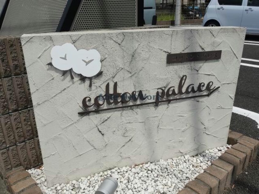  コットンパレス