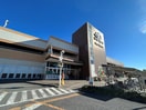 SUPER ALPS（ｽｰﾊﾟｰ ｱﾙﾌﾟｽ） 日野店(スーパー)まで314m コーポ平野