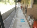  コスモスA