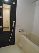 反転タイプ参考写真 サンシェロンK