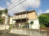 DTコート