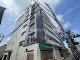 Grand corp Cattleya