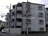 ハイネス・アビコ