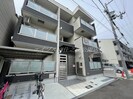 F asecia matinの外観