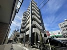 ラピスラズリの外観