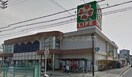 ライフ御崎店(スーパー)まで302m エトワール御崎