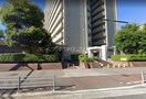 大阪市立新北島保育所(幼稚園/保育園)まで490m アネックス六兵衛