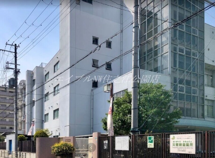 大阪市立清江小学校(小学校)まで733m サワー・ドゥ住之江公園