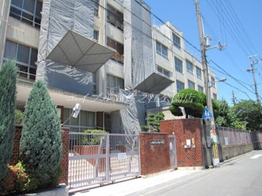 大阪市立大領小学校(小学校)まで589m D-room南住吉　マリキータ