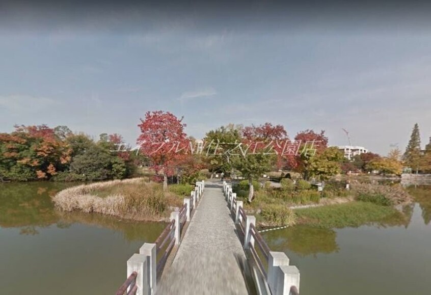 万代池公園(公園)まで828m プレジオ帝塚山
