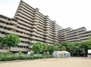 シティハイツ住之江弐号棟の外観