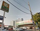 ジャパン住之江店(ショッピングセンター/アウトレットモール)まで207m セレーナ住之江Ⅱ番館