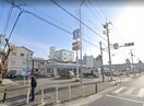 ローソン新北島七丁目店(コンビニ)まで295m セレーナ住之江Ⅱ番館