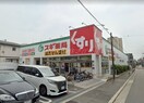 スギ薬局南住吉店(ドラッグストア)まで145m シャルマン清水