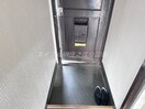  グリーンマンション