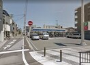 ローソン阪南町五丁目店(コンビニ)まで804m メロディハイム東帝塚山