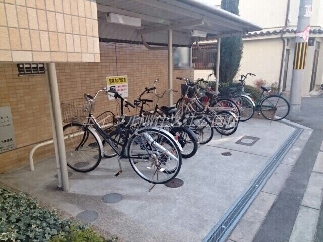  アルトピーノ