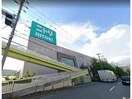 ニトリ住之江店(電気量販店/ホームセンター)まで1316m マツモトマンション