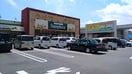 サンプラザ三国ヶ丘東店(スーパー)まで335m アヴァンティ三国ヶ丘