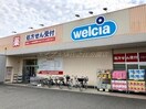 ウエルシア住吉南住吉店(ドラッグストア)まで661m コーポ南住吉