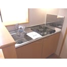  フロールマリポッサ