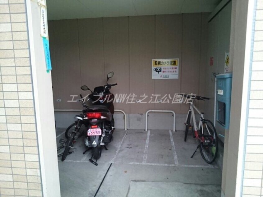  フロールマリポッサ