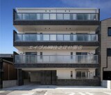 アビーコリーヌ