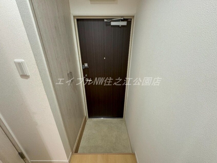  アビーコリーヌ