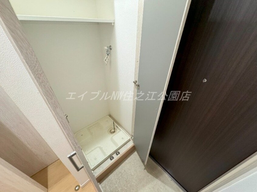  アビーコリーヌ