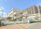 堺市立五箇荘中学校(中学校/中等教育学校)まで1436m 浅香山住宅19棟