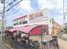 食品館アプロ浅香山店(スーパー)まで974m 浅香山住宅19棟