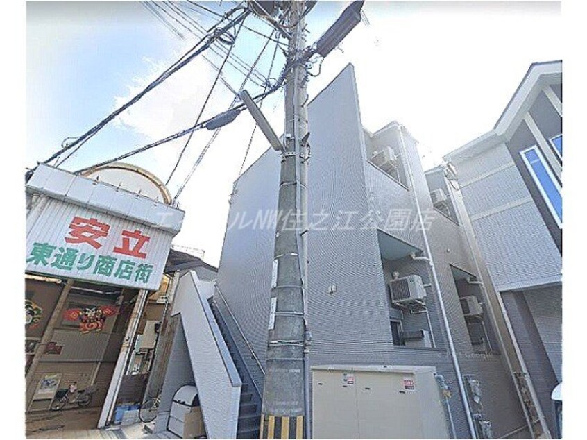  フクシア　アベニュー