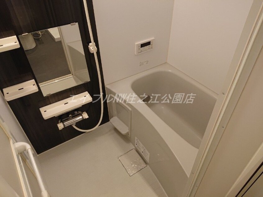  フクシア　アベニュー