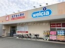 ウエルシア住吉南住吉店(ドラッグストア)まで495m ラ・ハイール住吉