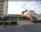 食品館アプロ東加賀屋店(スーパー)まで454m ロイヤルメゾン