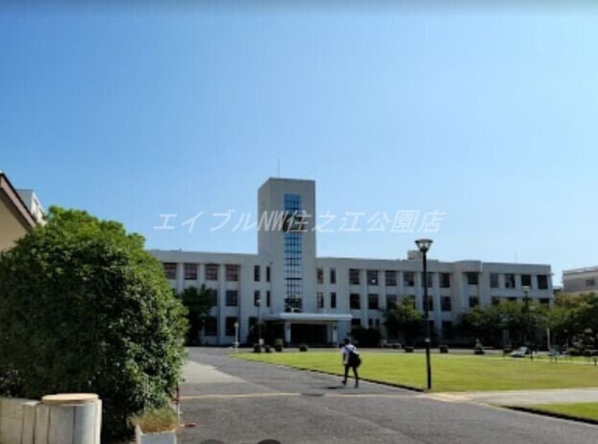 大阪市立大学(大学/短大/専門学校)まで720m ニコーホワイトハイツ