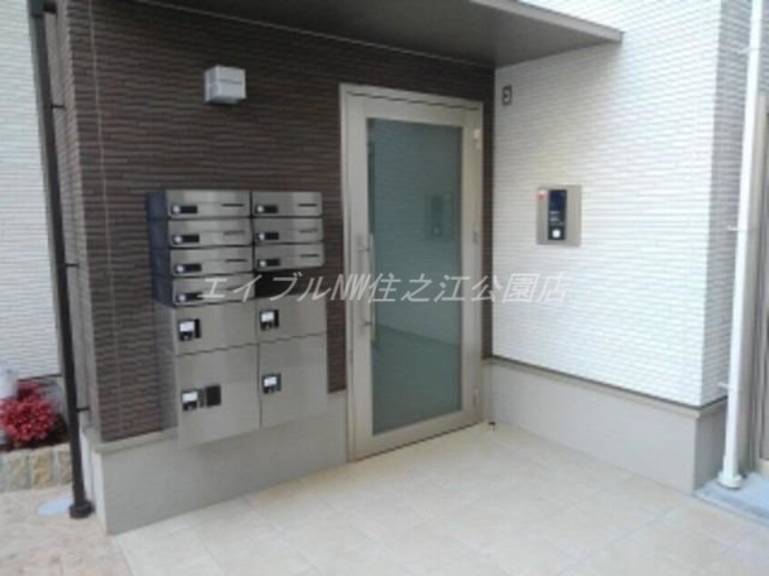  ロチェス　ドール